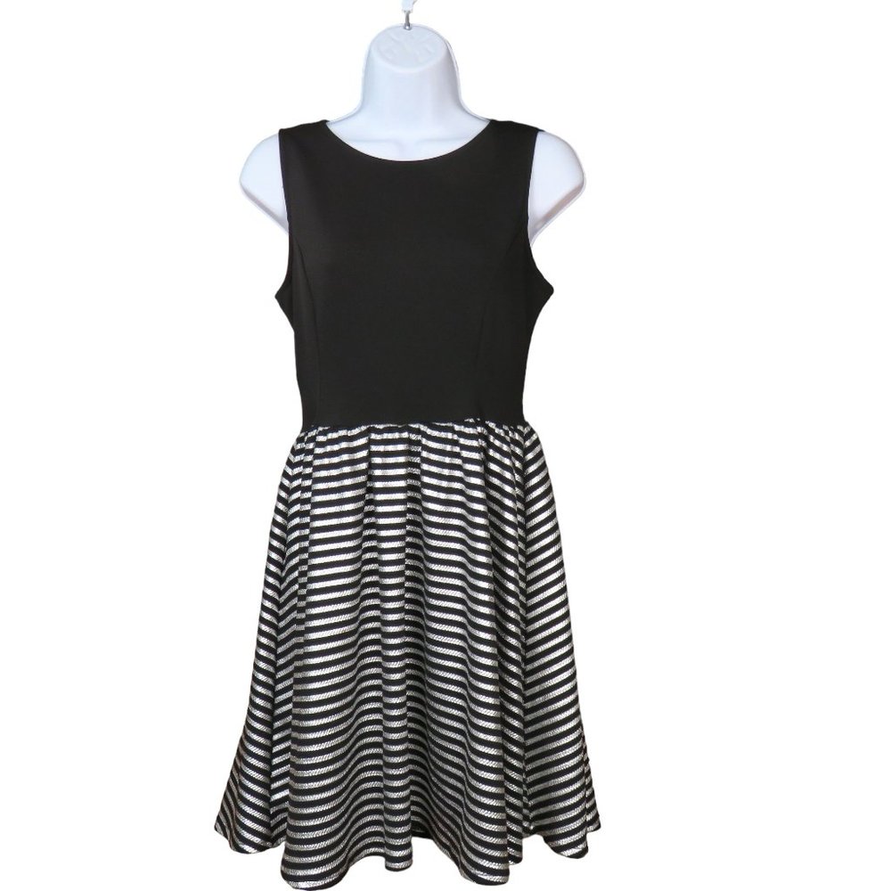 Ginger G Black and Silver Striped Sleeveless Fit and Flare Dress Size Medium EUC